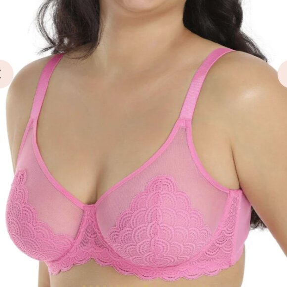 Hsia Mermaid Scales Lace Unlined Bra 46D Plus Size Women NEW Sheer minimizer - Picture 2 of 11